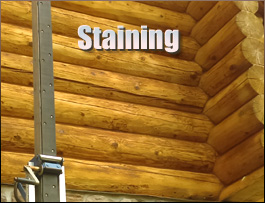  Woodland, Alabama Log Home Staining